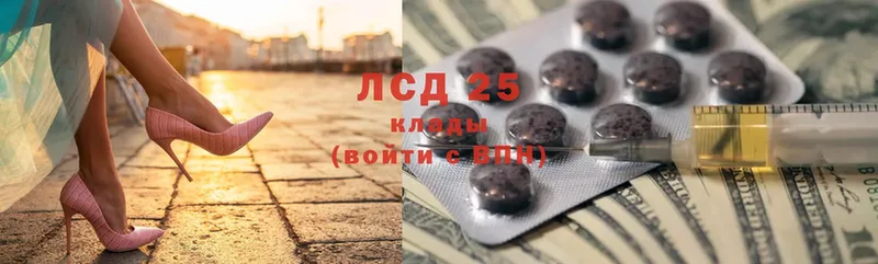 Где купить Кондопога COCAIN  Псилоцибиновые грибы  A PVP  Гашиш  Вейп ТГК  Мефедрон 