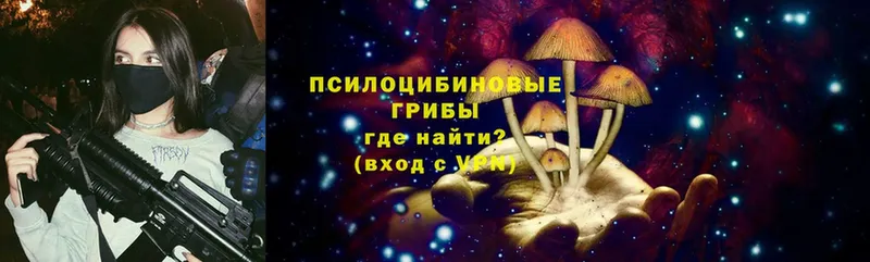 Галлюциногенные грибы Magic Shrooms  хочу наркоту  Кондопога 